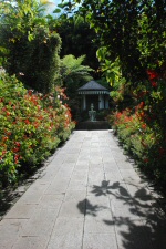 Villa Folio - Allée du jardin