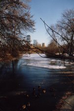 Back Bay Fens
