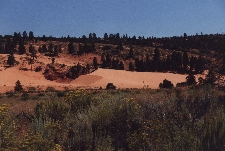 Coral Pink Sand Dunes