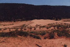 Coral Pink Sand Dunes