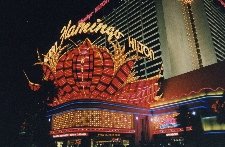 The Flamingo Hilton