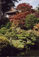 Japanese Tea Garden